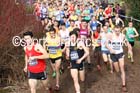 Senior mens 2016 Inter Counties Cross Country Champs. and Cross Challenge Final, Cofton Park, Birmingham. Photo: David T. Hewitson/Sports for All Pics